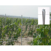 High strength metal vineyard post/grape stake/vineyard trellis post